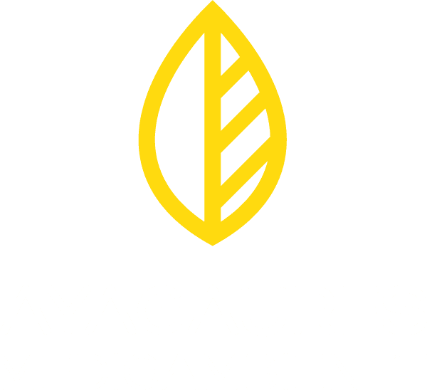 Logo Ayagaures Medioambiente