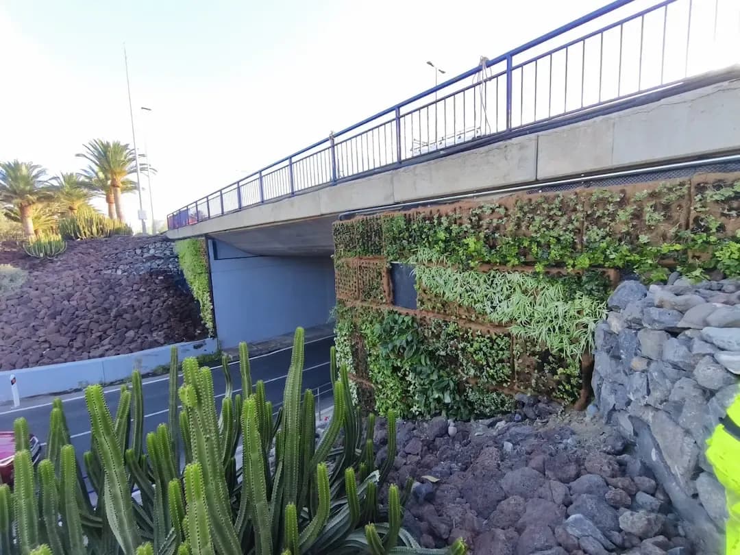 Portada de la noticia