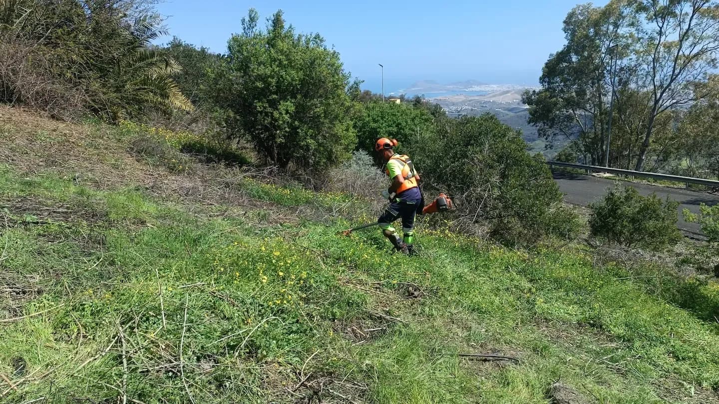 Portada de noticia: Ayagaures Medioambiente, adjudicataria del contrato de desbrozados en estaciones ARPAL para 2026