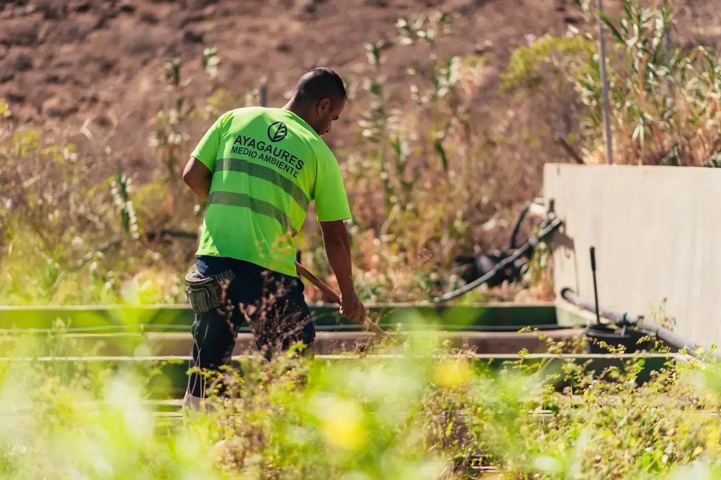 Portada de noticia: Ayagaures Medioambiente pone en marcha la campaña “Protégete del Sol en Gran Canaria”