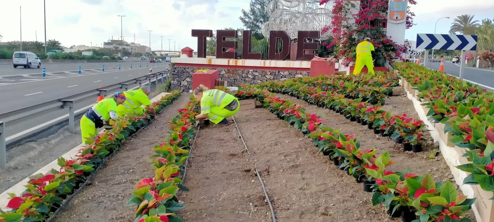Portada de noticia: Ayagaures Medioambiente pone en marcha el II Plan de Igualdad