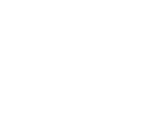 Logo de Solinca